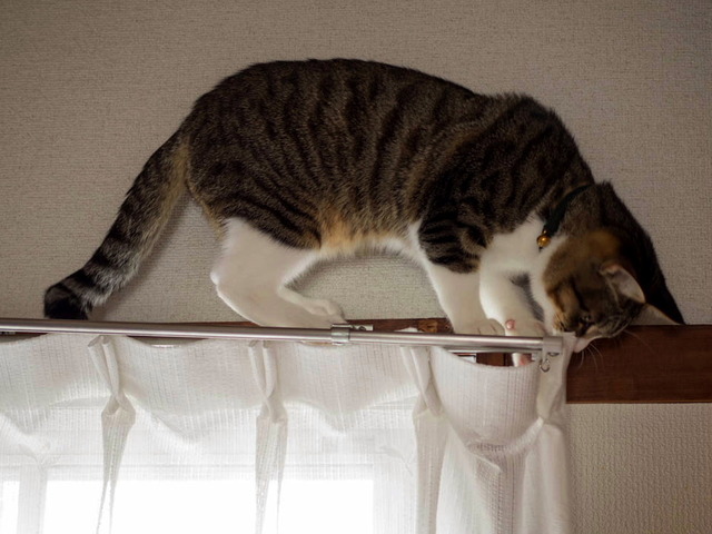 ���ͤ���23