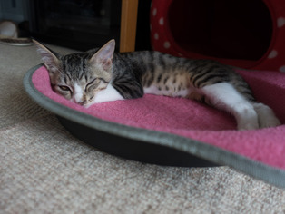 ���ͤ���72