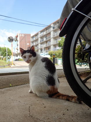 �ߡ������1