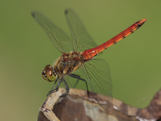 ����������04