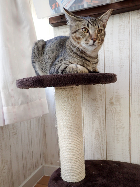 ǭ���ե��줪��25