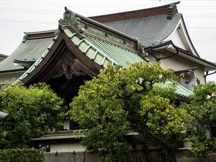 ��ɴ�����7