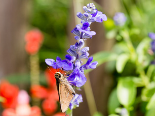 ������󤸤�������礦