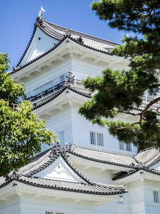 小田原城9