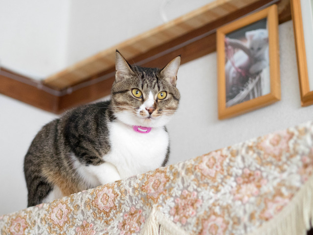 ���ͤ���2