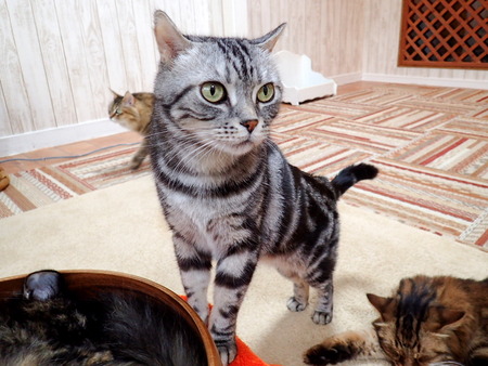 ǭ���ե��줪��13