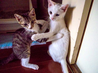 ���ͤ�����03