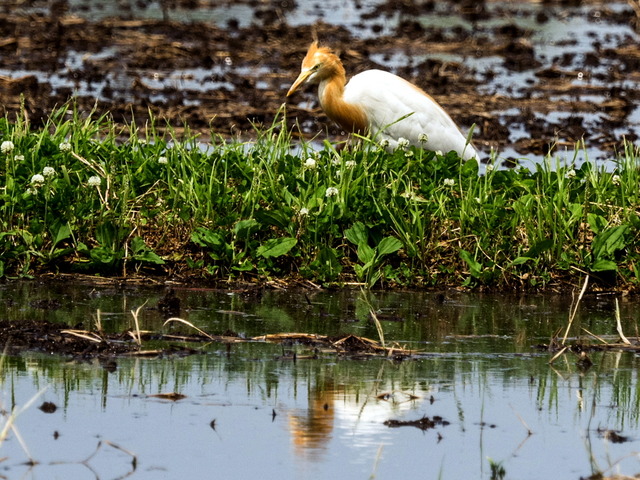 ���ޤ���2