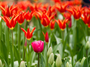 ���͸���3