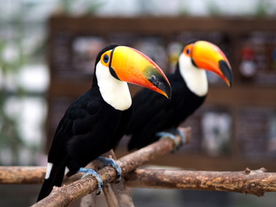 ���Ǝ����ʎ�2