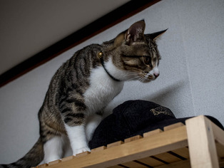 ���ͤ���05