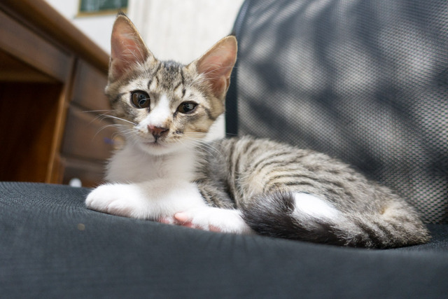 ���ͤ���48