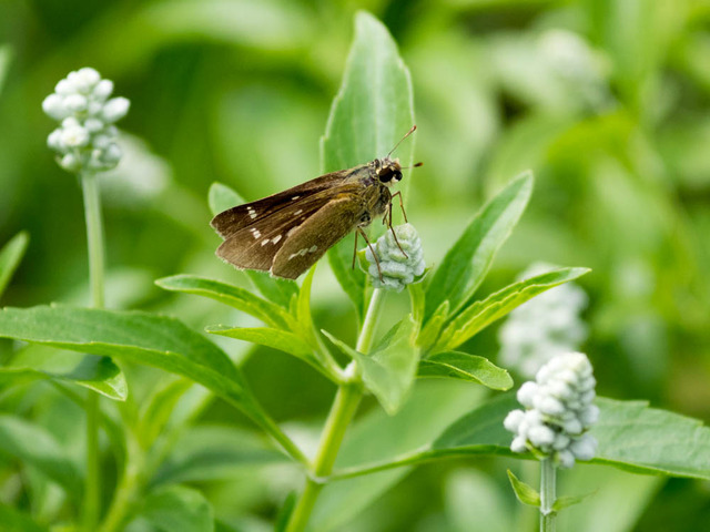 �����ӎݎ��ގ�����01