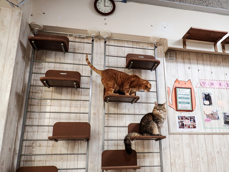 ǭ���ե��줪��19