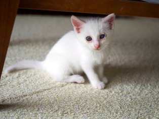 �ЎФ����01