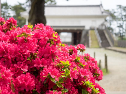 ���ĸ���9