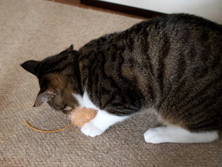 ���ͤ���05