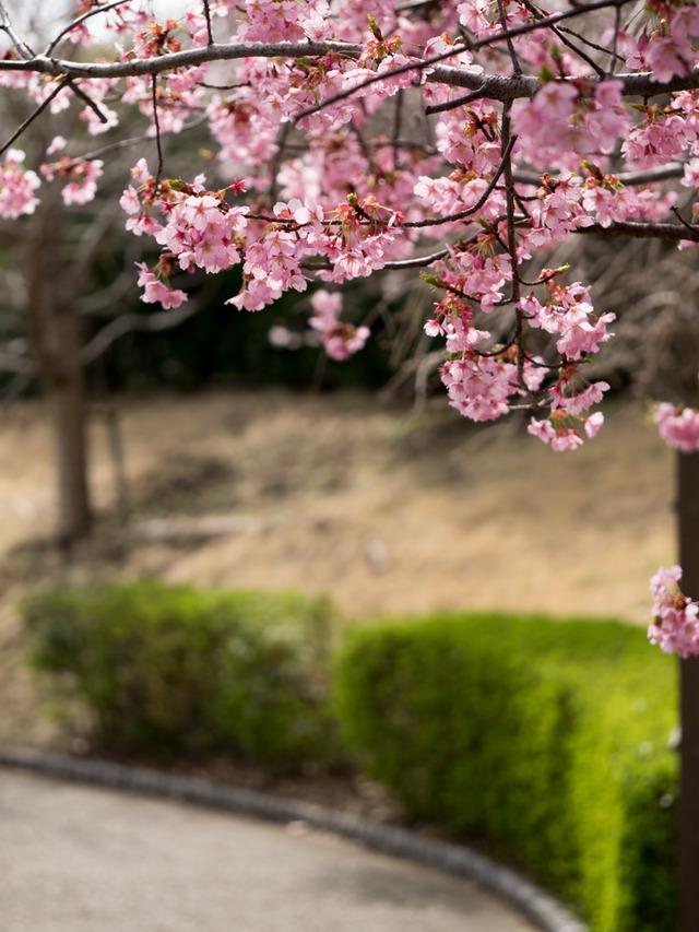 ���ݎ��ގ���1