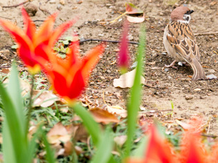 ���͸���13