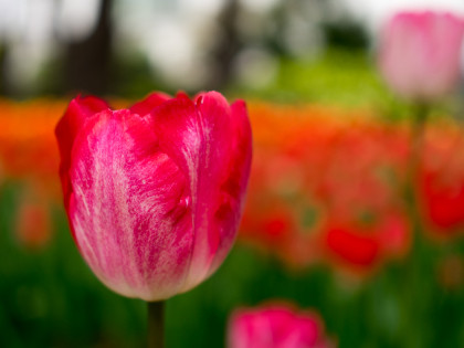 ���͸���18