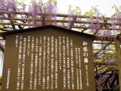 ���ĸ���12