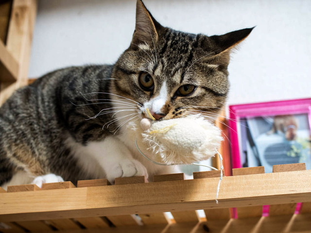 ���ͤ���06