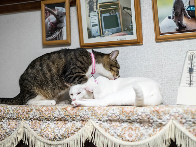 ����������3