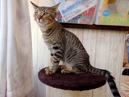 ǭ���ե��줪��21