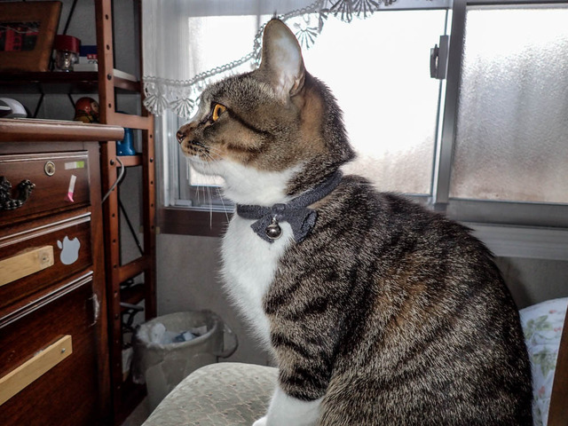 ���ͤ���2