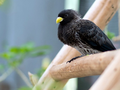 �ʎ����ێ��Ύގ��Ďގ�