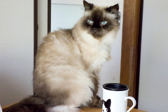 ��Ҥ����