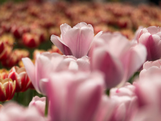 ���͸���2