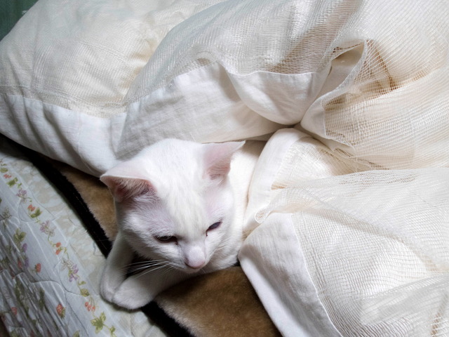 ���������3