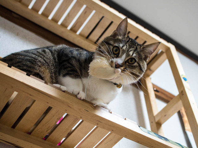 ���ͤ���08