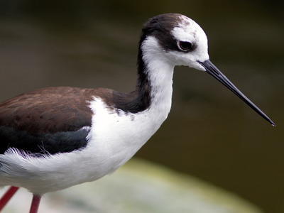 ��������������1