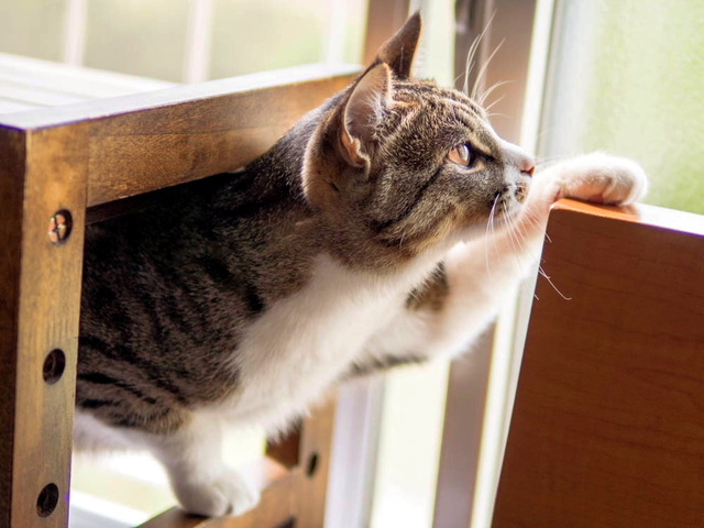 ���ͤ���01