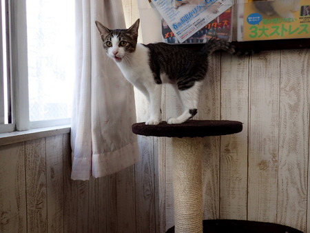 ǭ���ե��줪��12