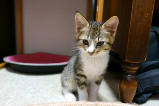 ���ͤ���02