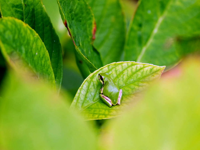 ���ώ��ގ���04