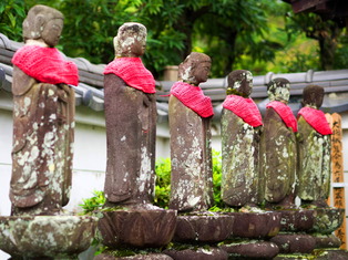 ��ɴ�����12