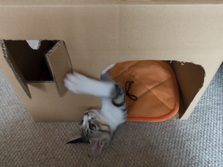 ���ͤ���80