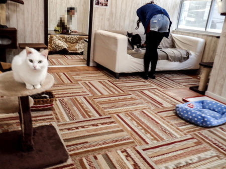 ǭ���ե��줪��8