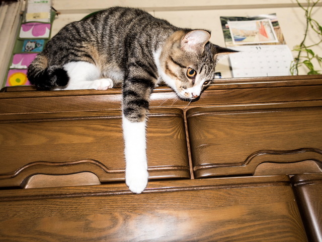 ���ͤ���7