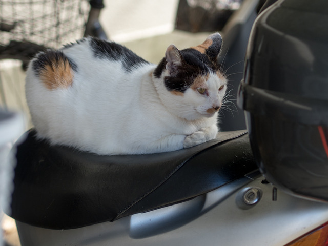 �ߡ������4