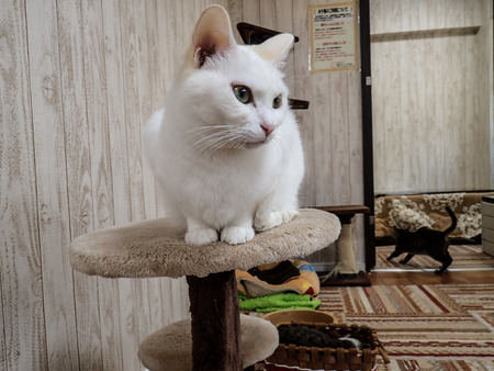 ǭ���ե��줪��9