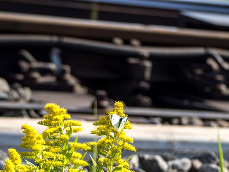 �ӎݎ��ێ�����2