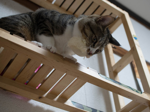 ���ͤ���07