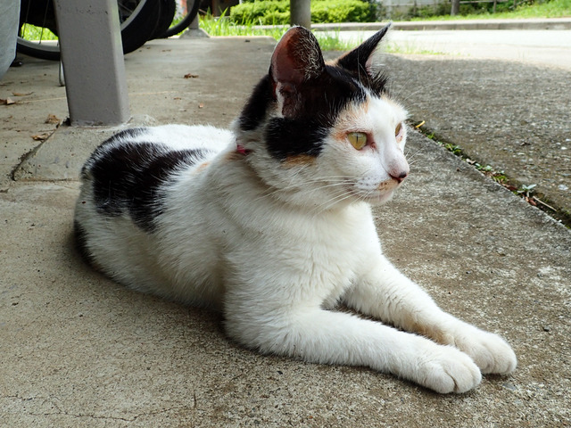 �ߡ������7