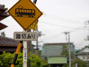 ��ɴ�����5