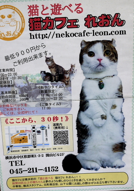 ǭ���ե����줪��